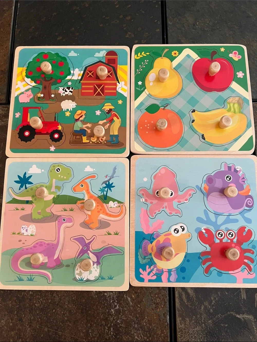 Wooden Farm, Fruit, Dinosaur & Ocean Knob Puzzles-Toddlers First Puzzle Set, EUC